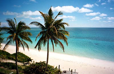 Immer die günstigsten Preise.